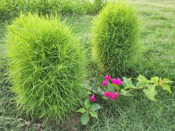 samsung-galaxy-s22-and-s22-plus-review-in-hindi