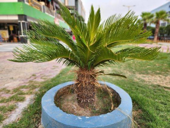 samsung-galaxy-s22-and-s22-plus-review-in-hindi