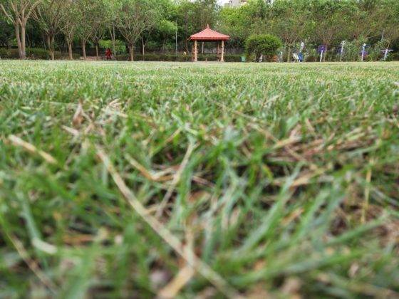 samsung-galaxy-s22-and-s22-plus-review-in-hindi