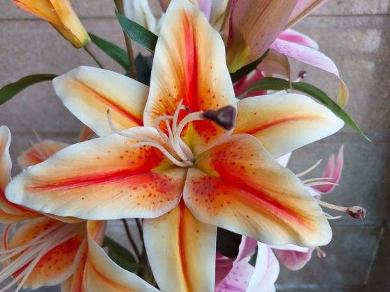 samsung-galaxy-a73-review-in-hindi