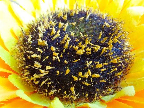 samsung-galaxy-a73-review-in-hindi