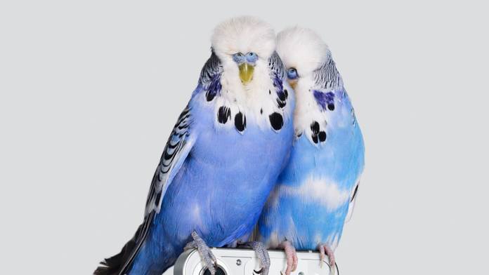 https://static.hub.91mobiles.com/multisite/wp-content/uploads/sites/7/2022/06/Nothing.jpg