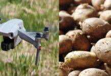 viral video Bihar man orders drone camera on Meesho but receives potatoes inside box