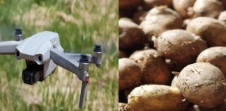 viral video Bihar man orders drone camera on Meesho but receives potatoes inside box