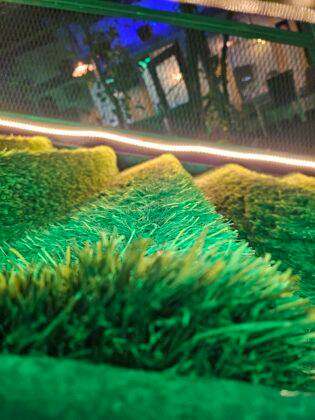 सैमसंग गैलेक्सी ज़ेड फ्लिप 5 क्लोज अप शॉट