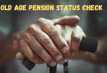 old age pension status check
