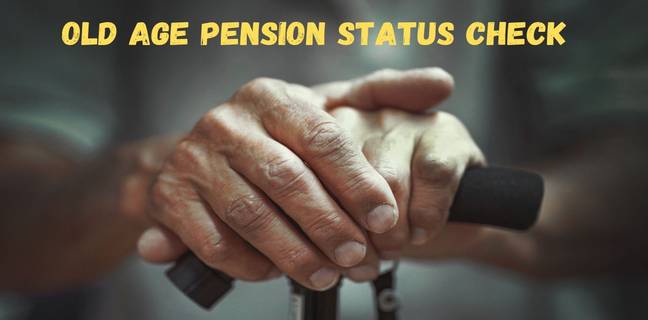 वृद्धा पेंशन स्टेटस/लिस्ट कैसे चेक करें ऑनलाइन (2025) old age pension status check