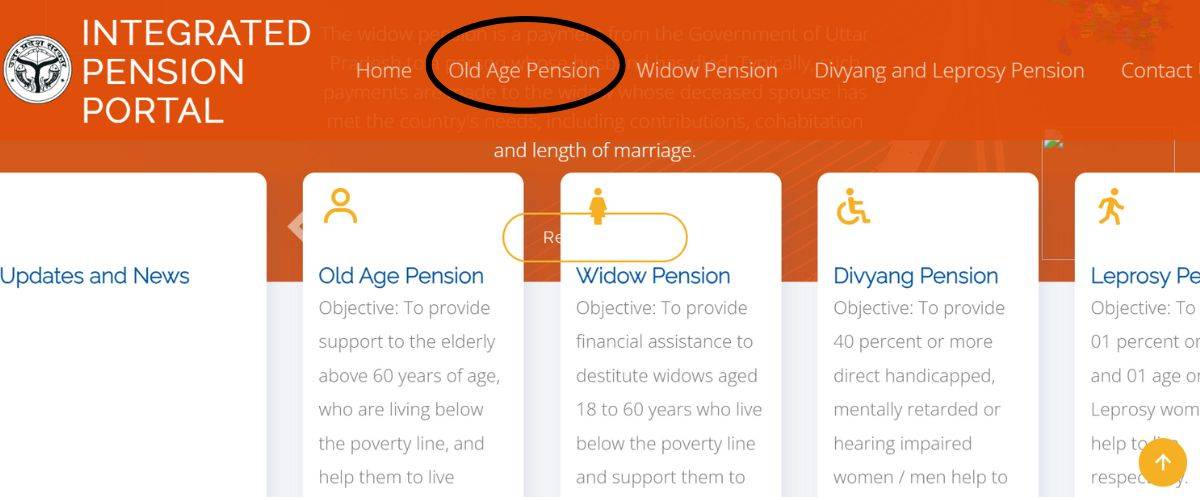 old age pension status check