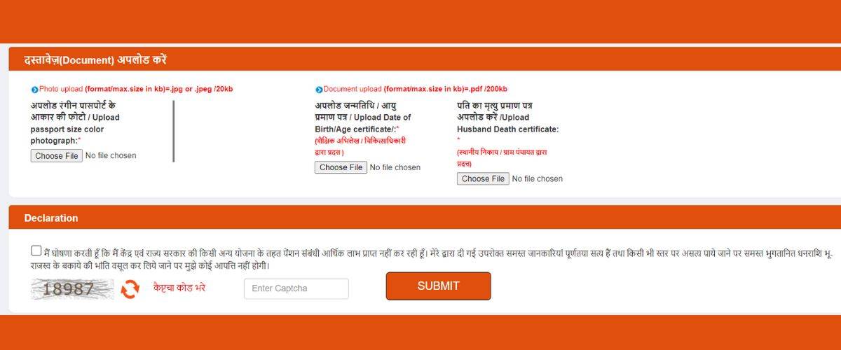 up vidhwa pension status check