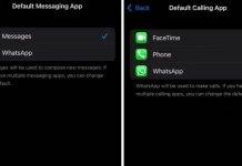 whatsapp-ios-default-messaging-calling-app