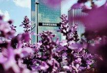 samsung-galaxy-z-fold-7-flip-7-launch-date-leaked