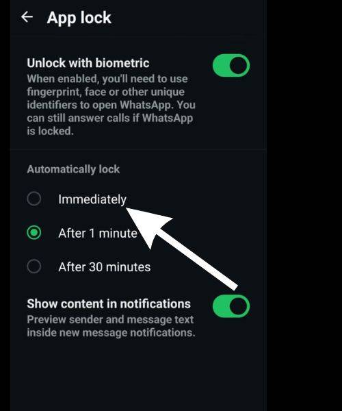 WhatsApp App Lock