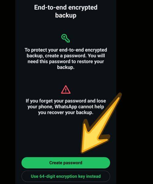 WhatsApp encrypted chat backups