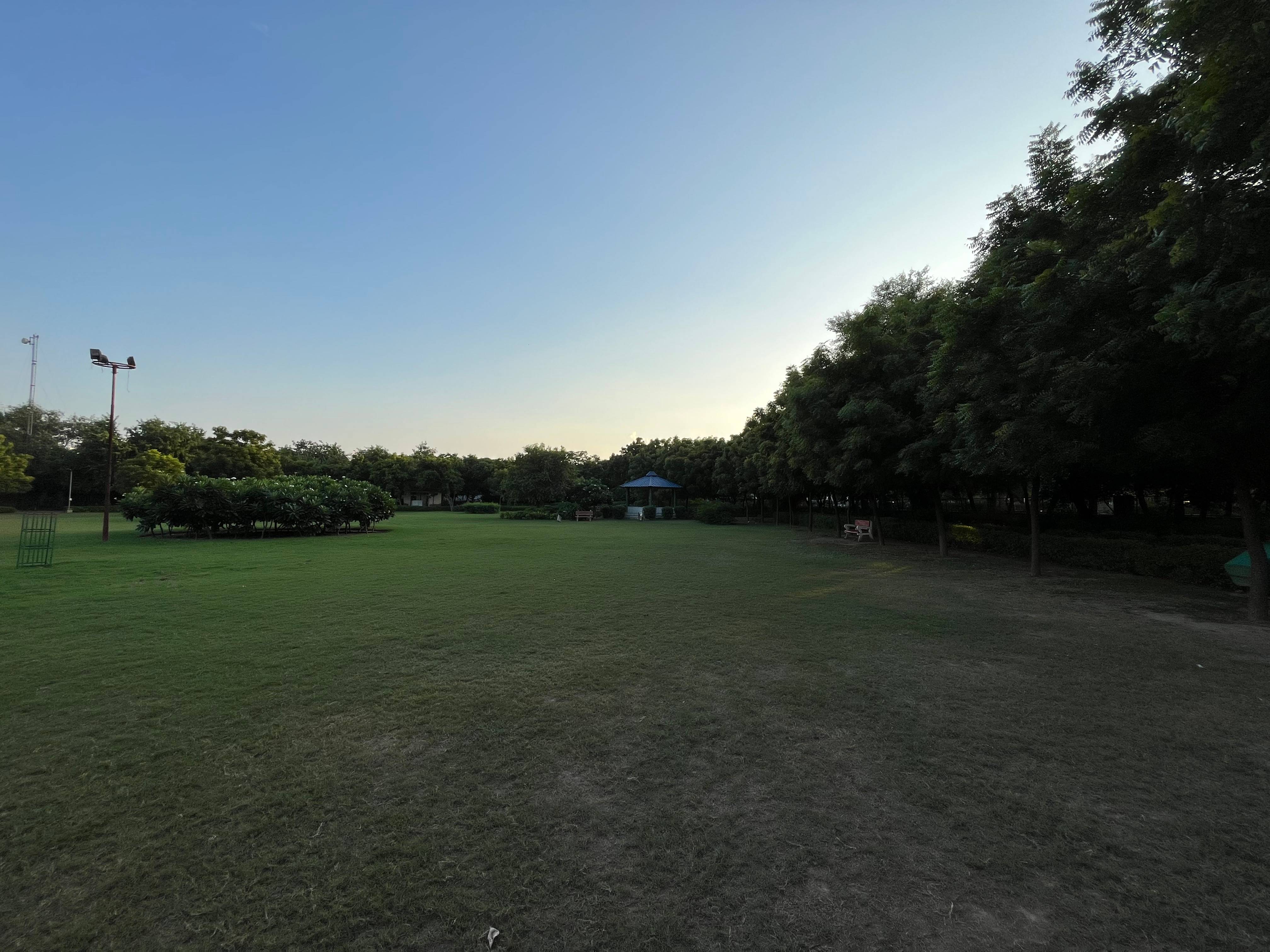 Before image