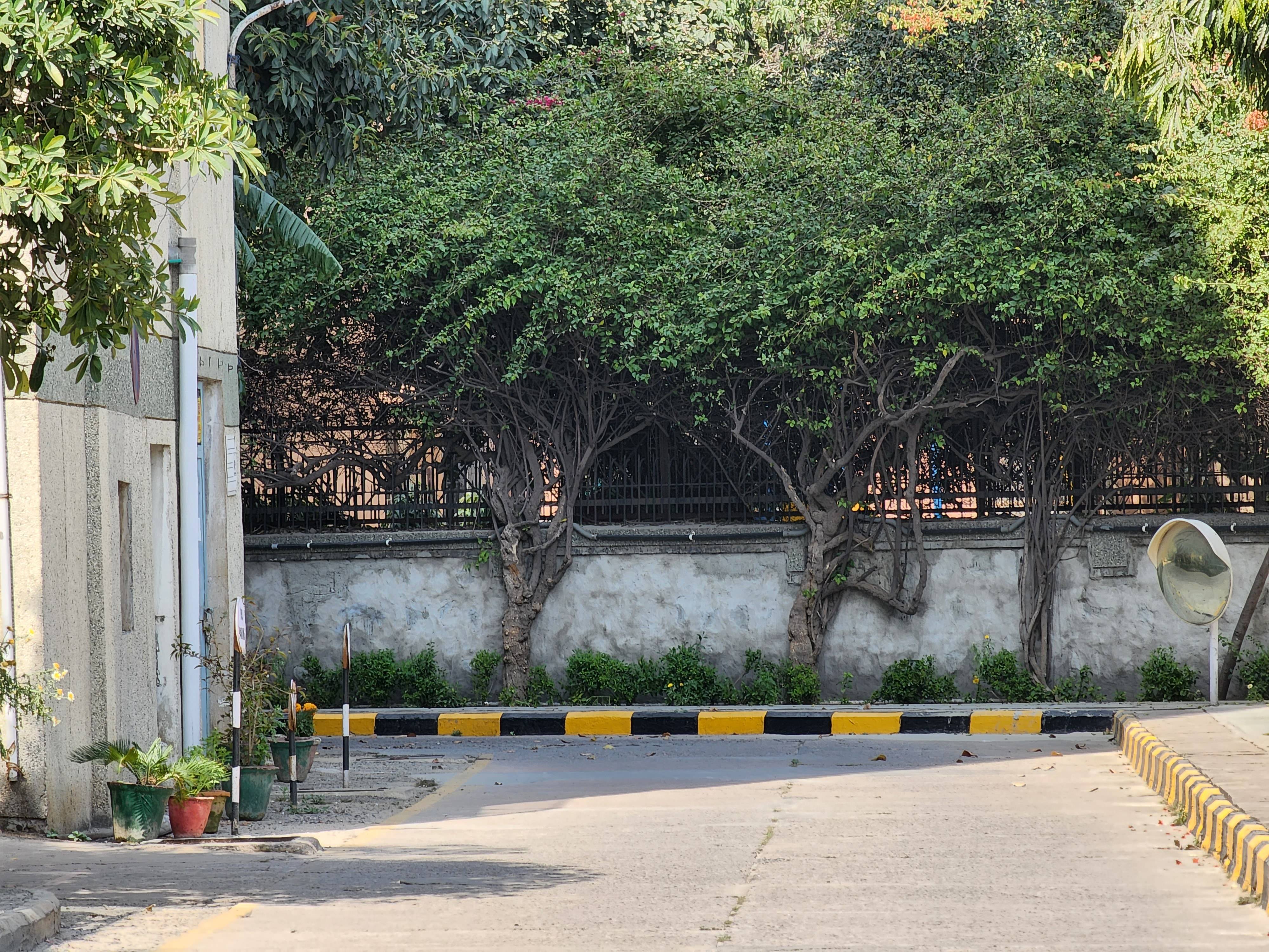 Before image