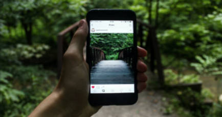 Nature Instagram captions and quotes to use in 2025