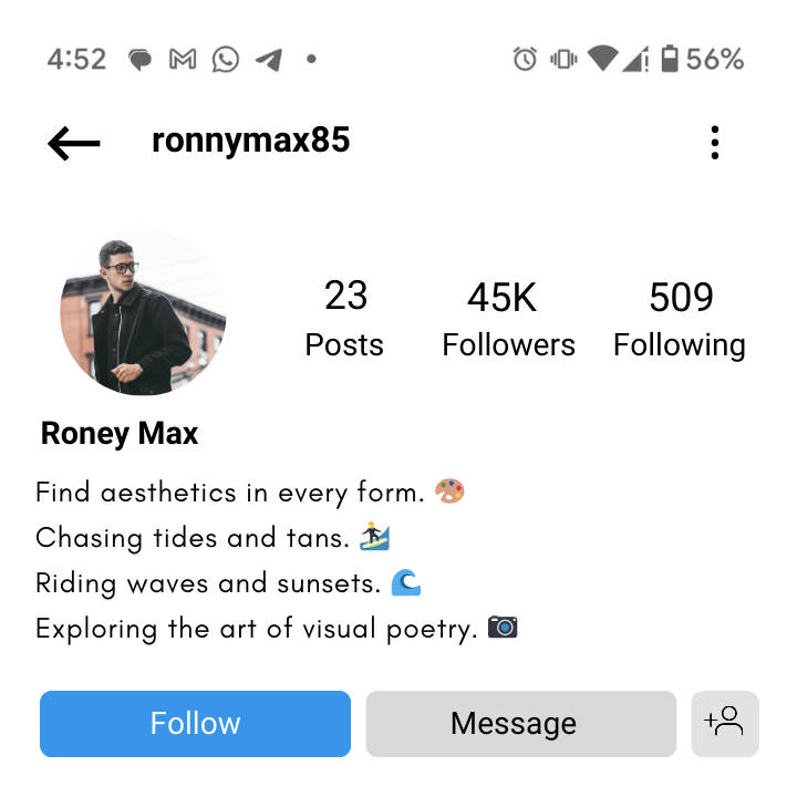 Aesthetic Instagram bio for boys