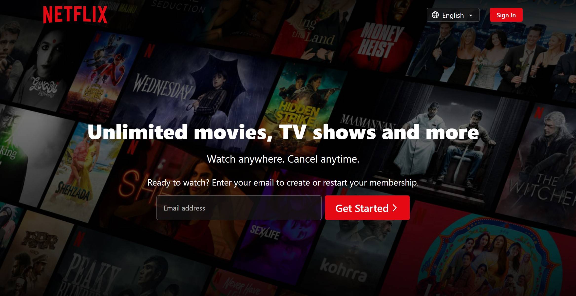 Netflix features