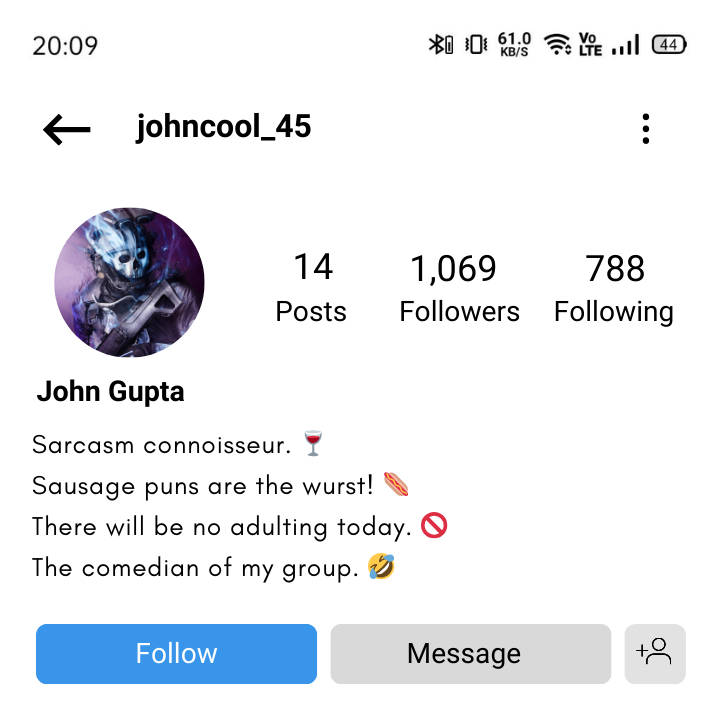 funny Instagram bio for boys