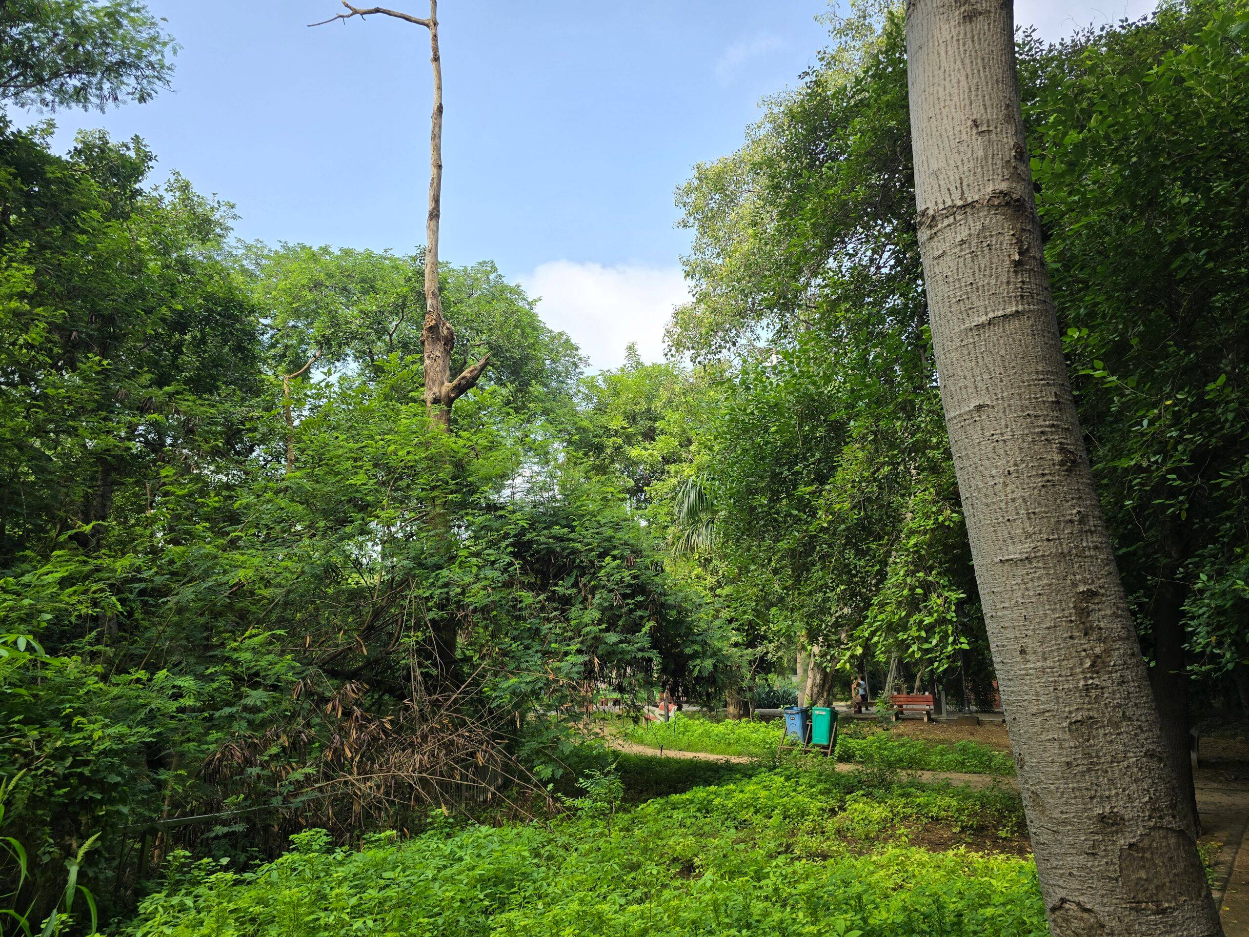 After image