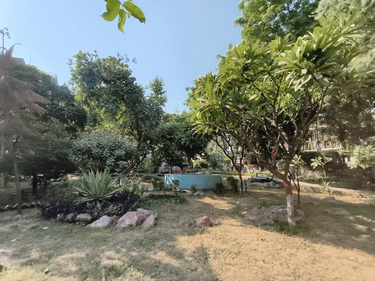 Before image
