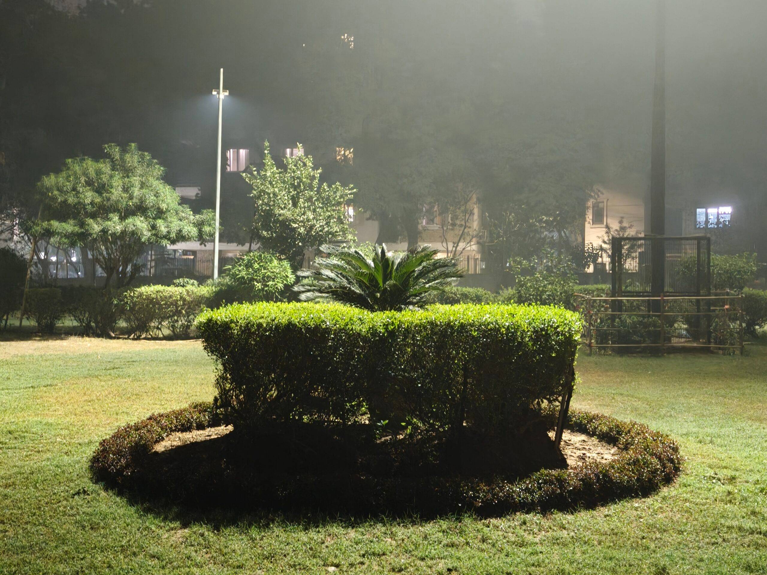 Before image
