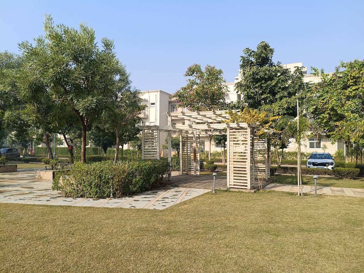 Before image