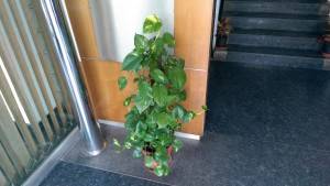 HTC-One-M8-Cam7.jpg?tr=q-70
