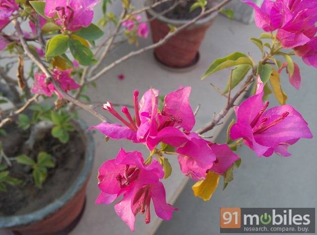 Gionee Elife S5.52014-06-04 18.31.16