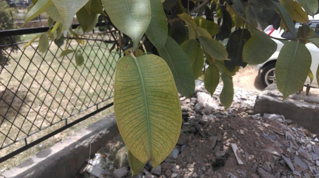 HTC Desire 816 camera review