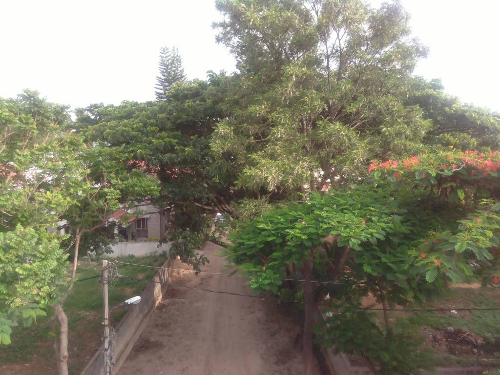 Lava Iris X1_long shot