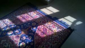 Lumia 630_image sample_7