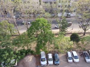 Oppo R1 camera sample
