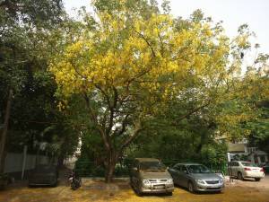 Sony Xperia M2 dual camera sample