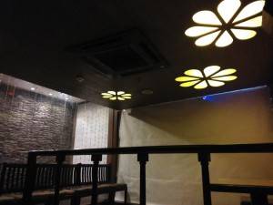 Sony Xperia M2 dual camera low light sample