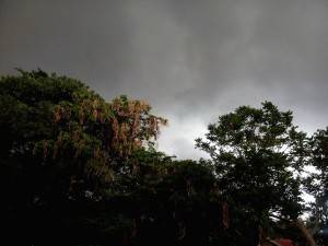 XOLO Q1010i image sample