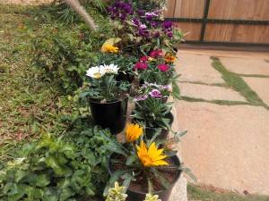 Philips W6610_camera sample_daylight