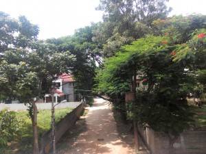 Philips W6610_camera sample_long shot