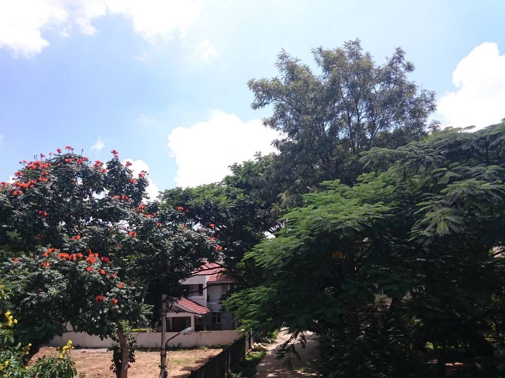 Sony-Xperia-Z3-Compact_camera-review_long-shot.jpg?tr=q-70