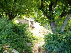 The new Moto G (2nd gen) camera performance review