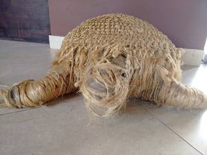 The new Moto G (2nd gen) camera review