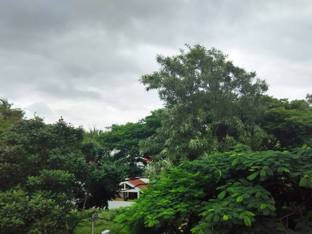 Xiaomi Redmi 1s camera sample_HDR on