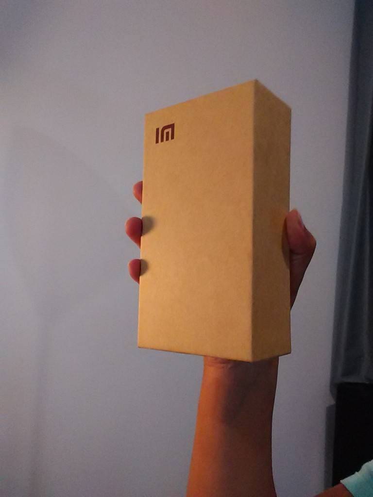 Xiaomi Redmi 1s camera sample_front camera