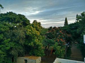OnePlus-One_camera-sample_HDR-on.jpg?tr=q-70