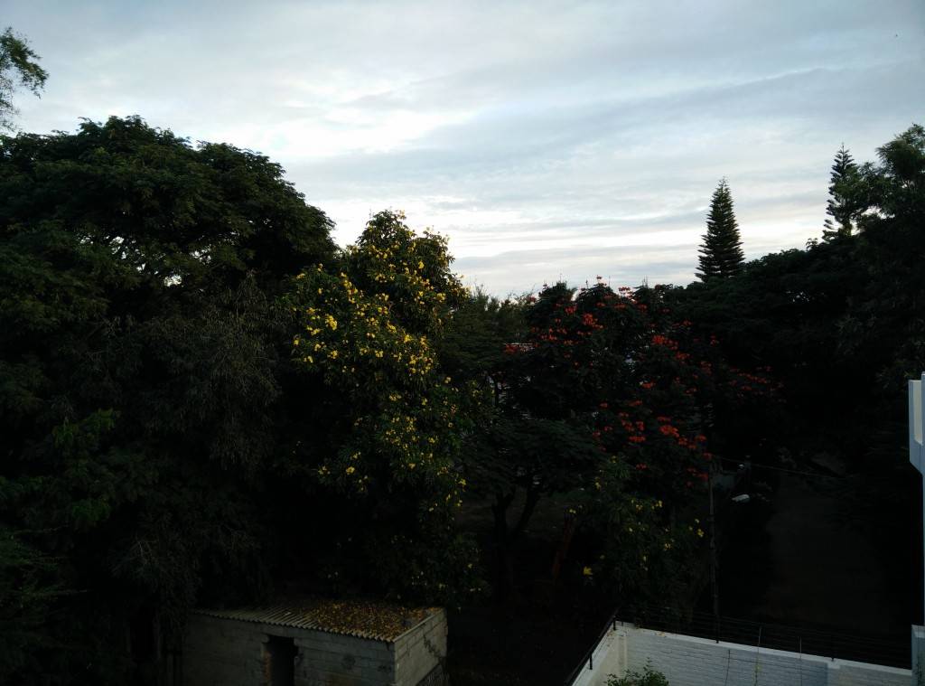 OnePlus One_camera test_HDR off
