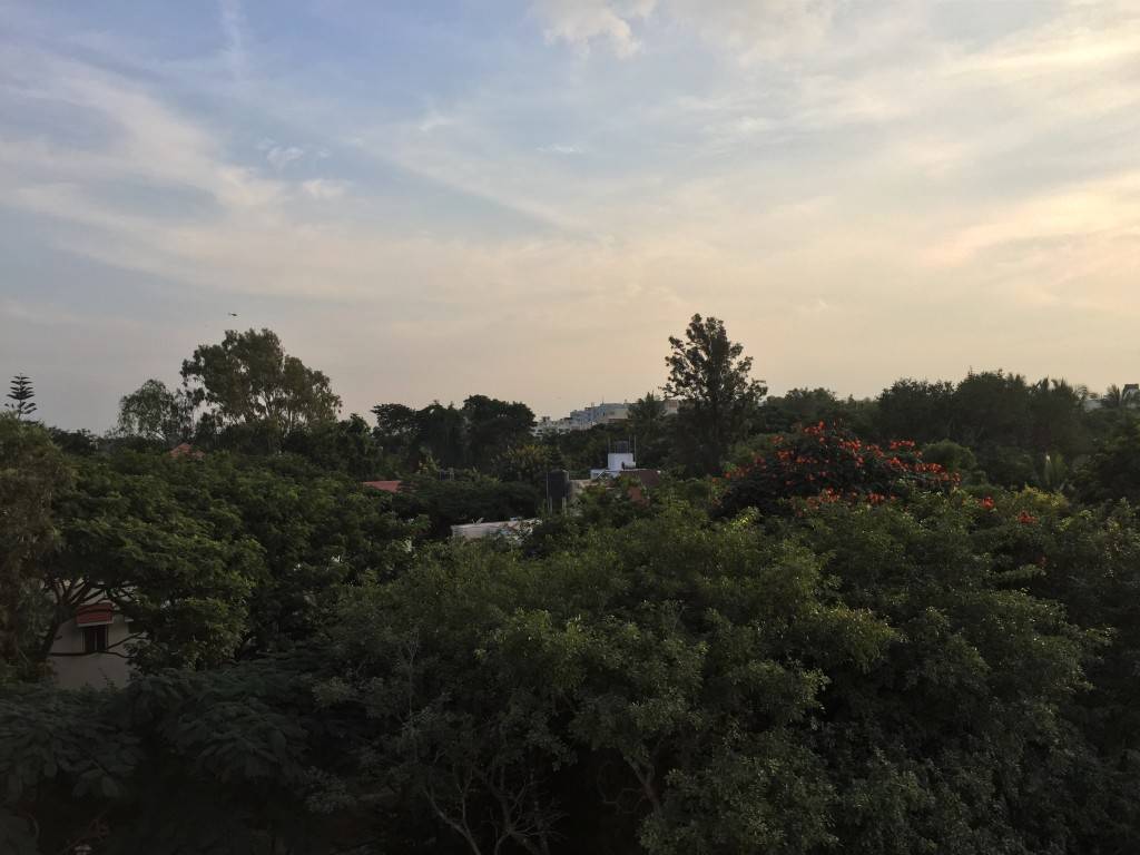 iPhone 6 camera review_HDR on