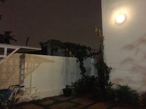 iPhone 6 camera review_night shot