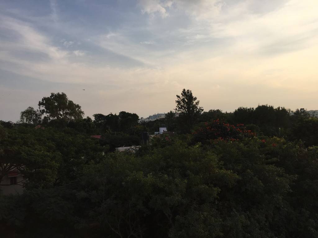 iPhone 6 camera sample_HDR off