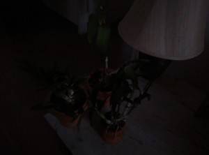 Xiaomi-Redmi-Note-4G_camera-test_low-light.jpg?tr=q-70
