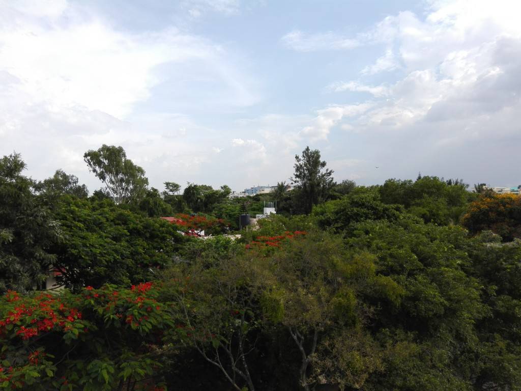Honor-4c_camera-sample_HDR-Off.jpg